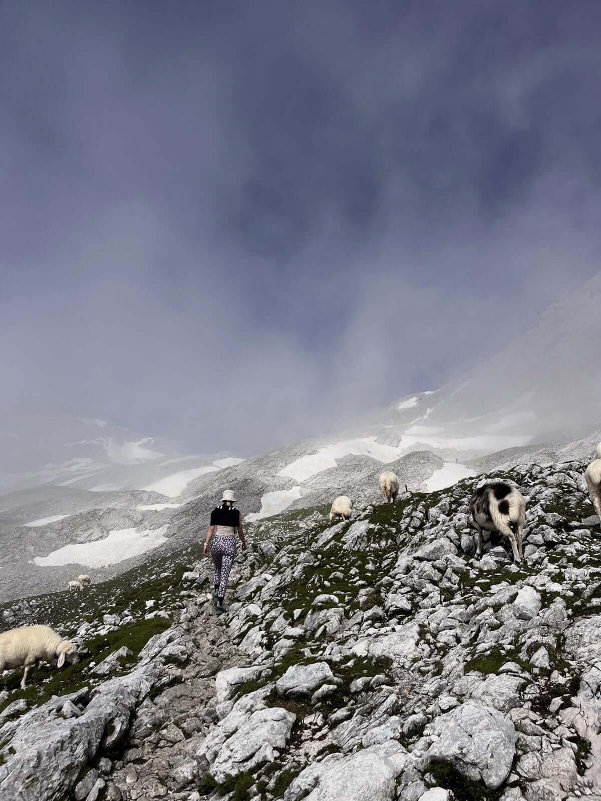 71e0ccc6-e047-4677-9e4e-82bdfa201a25-min