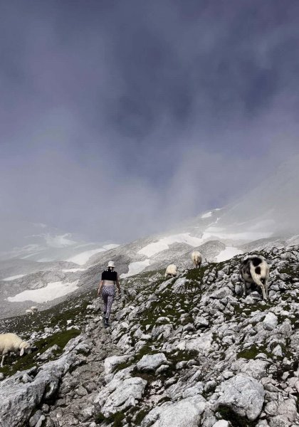 71e0ccc6-e047-4677-9e4e-82bdfa201a25-min